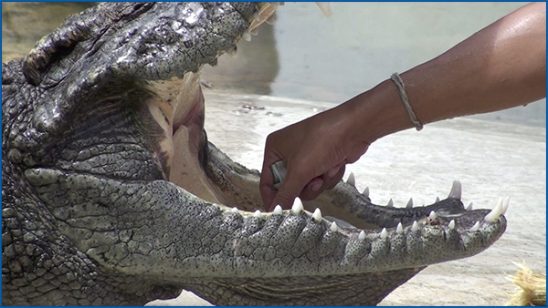 Arizona Filmworks - Video Production Phoenix Awards